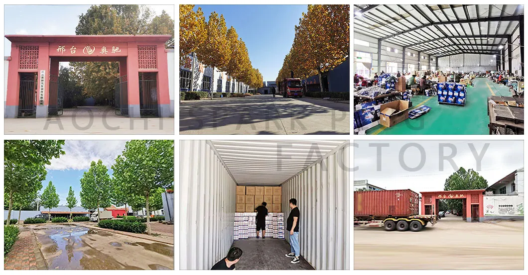 Black Motorcycle Spark Parts Motorcycle Brake Shoe (WY)