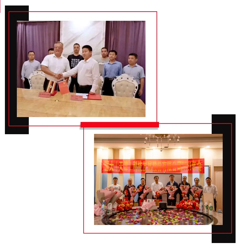 Hotsale 26 Inches Steel Folding Bike or Mini Bike for Adults