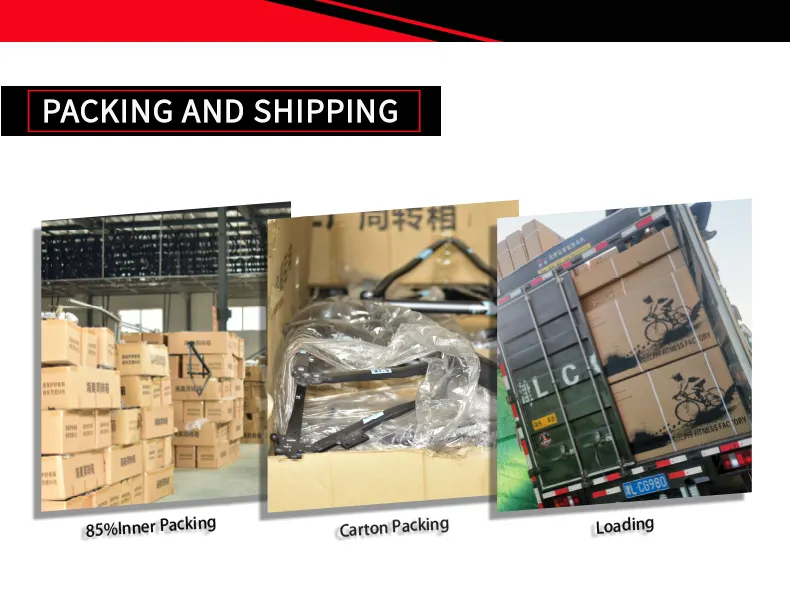 Hotsale 26 Inches Steel Folding Bike or Mini Bike for Adults