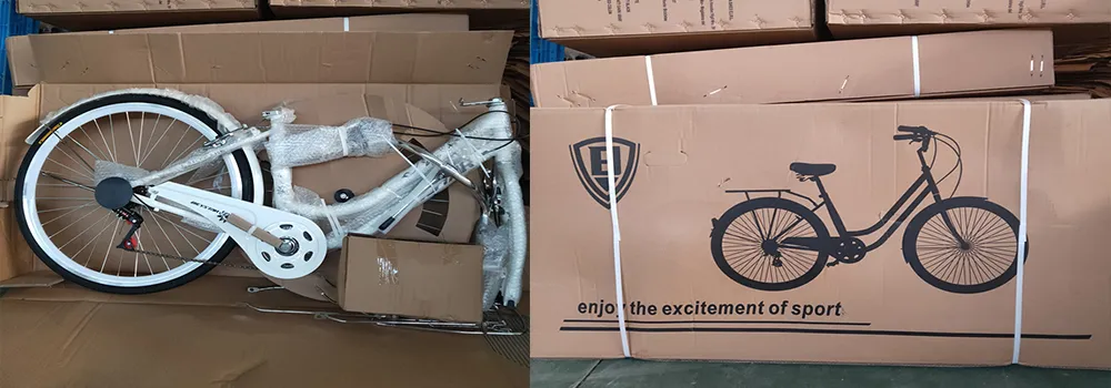 Cheap 20 Inch 6 Speed Folding Bike Lady Bike