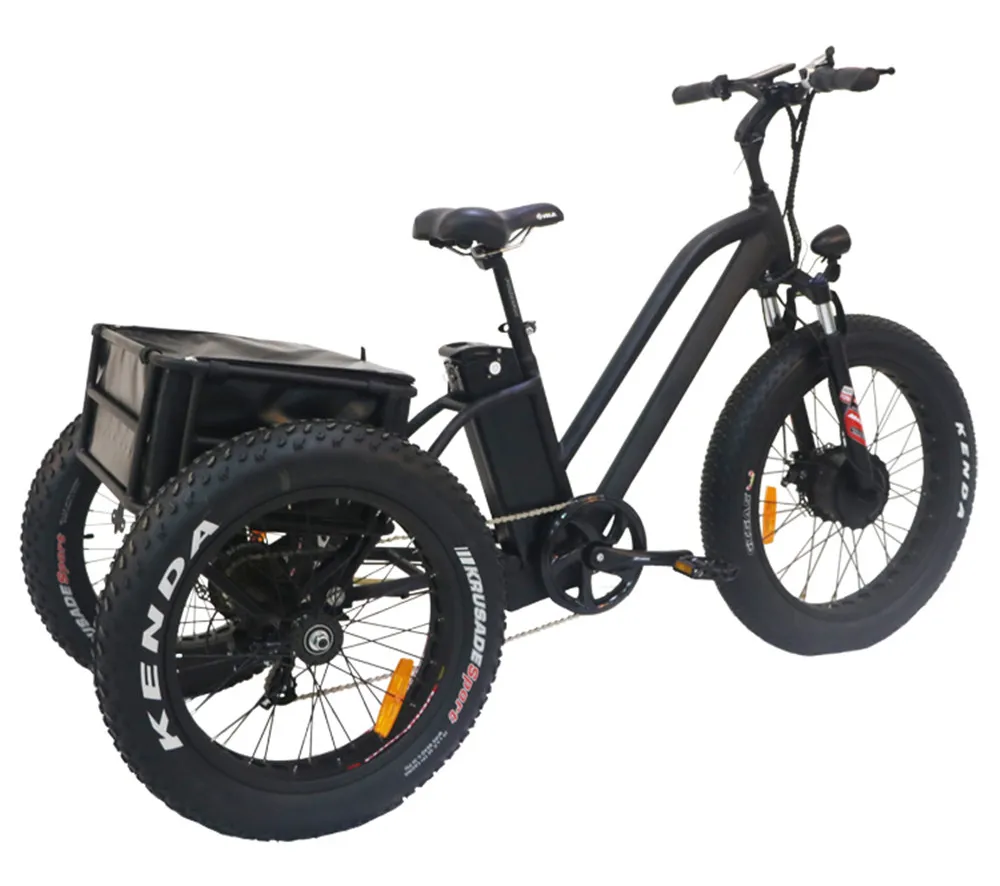 Cheap 500W Differiential Motor 3 Wheel Customized 250cc 3 Wheeler Auto Rickshaw Tuktuk Electric Rickshaw Tricycle