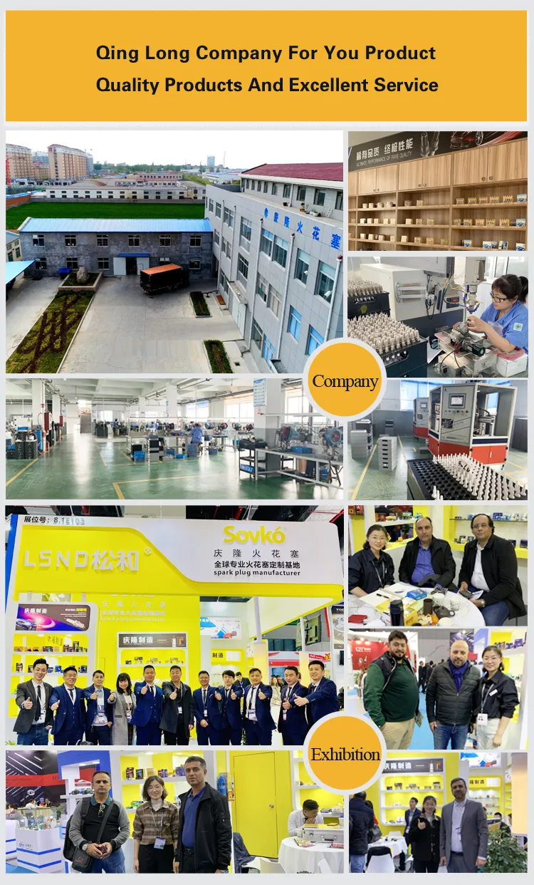 Cheap Price Factory Wholesale Motorcycle Engine Parts Motorcycle Spark Plug D8tc Nickel Spark Plug for Motorcycle