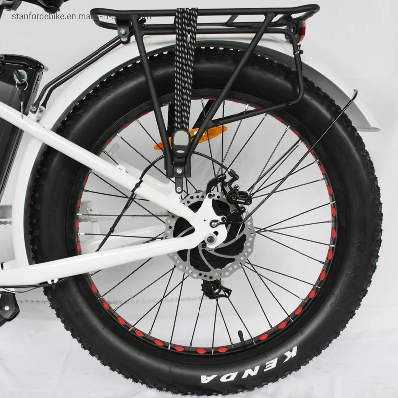 China Long Battery Life Stf-4 500W 48V 15ah Electric Folding Electric Bicycle