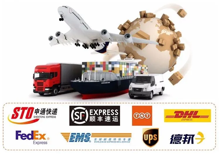 Classical High Quality Chromely Fixie Gear Bike