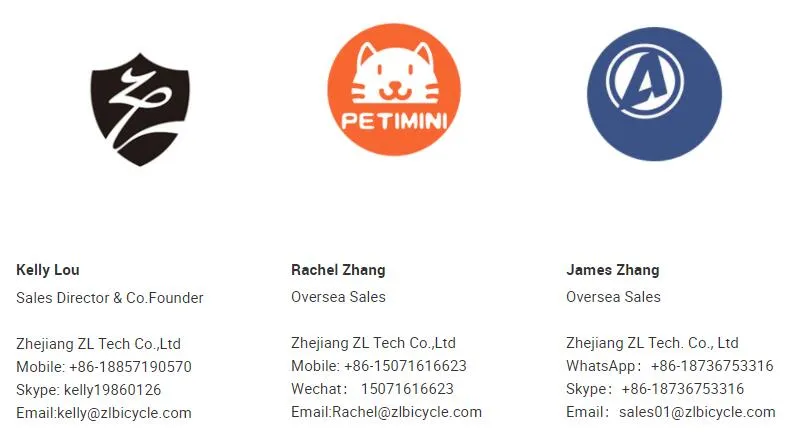 Classical High Quality Chromely Fixie Gear Bike