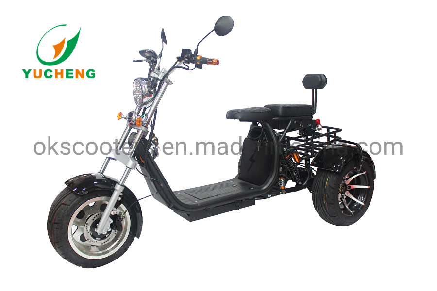 Double Seat Fast Speed Big Wheel Electric Scooter Motor Citycoco Electric Scooter
