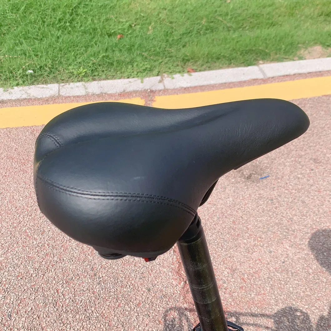E Bike Foldable Citybike Folding Motorcycle Green City Electric Bikes 36V 250W 350W 500W