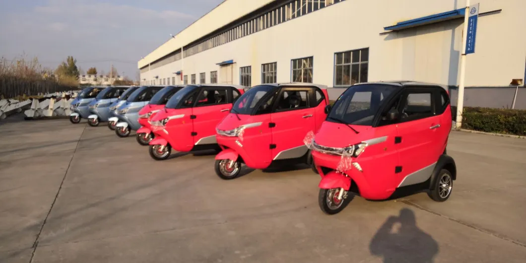 EEC L6e Catalog Electric Shopping Car for Elderly