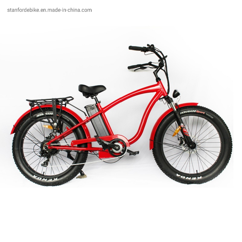 Electric Bicycle 2021 New Design Stf -2 500W MID Drive Electric Power Assisted Light Weight Bicycle