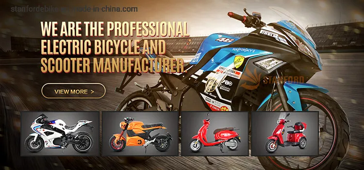 Electric Bicycle 2021 New Design Stf-2 500W MID Drive Electric Power Assisted Light Weight Bicycle
