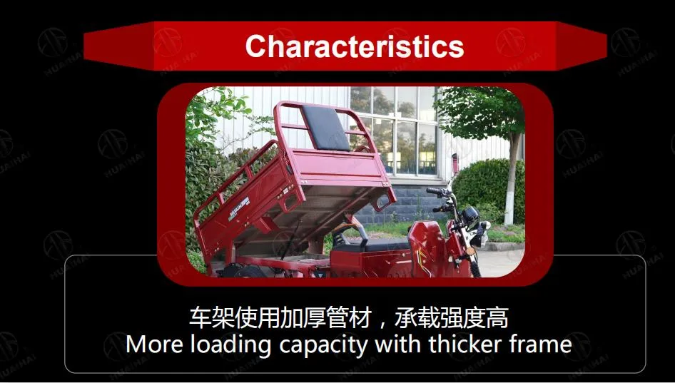 Electric Bicycle 3 Wheel Tricycle 1000W Mechanical Brake