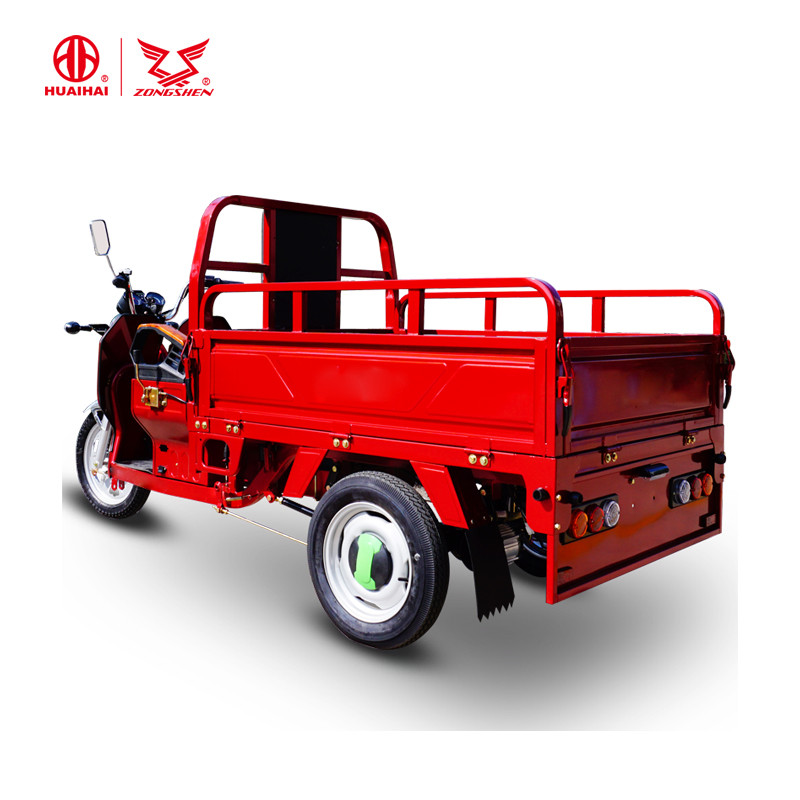 Electric Bicycle 3 Wheel Tricycle 1000W Mechanical Brake