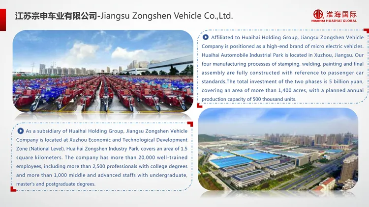 Electric Bicycle 3 Wheel Tricycle 1000W Mechanical Brake