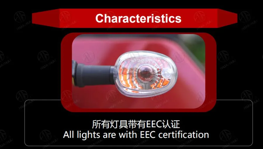 Electric Bicycle 3 Wheel Tricycle 1000W Mechanical Brake