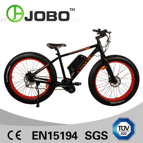 Electric Fat Tyre Bike with 8 Fun Built-in Motor (JB-TDE00L)