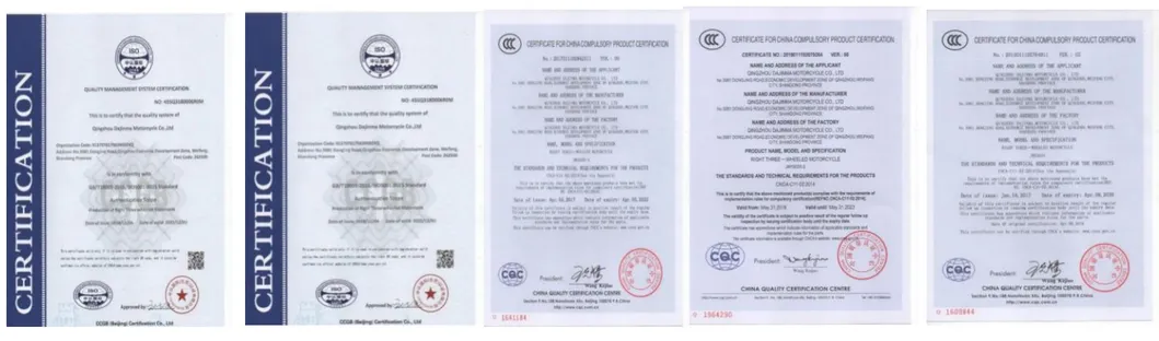 Electric Tricycle with EEC L2e for Hot Sale