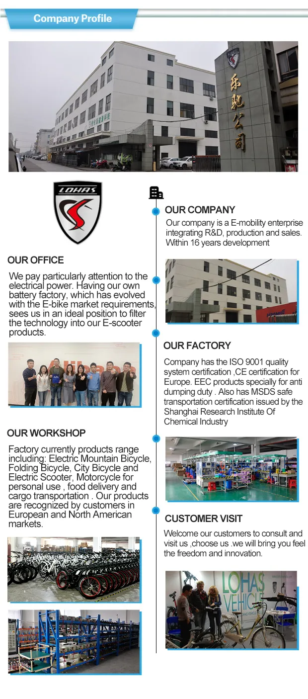 EU Warehouse Adult Fat Tyre Easy Rider 48V 1000W Electric Bike