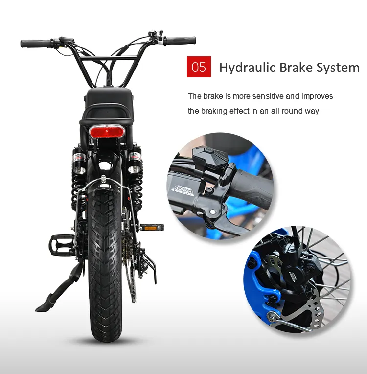 EU Warehouse Adult Fat Tyre Easy Rider 48V 1000W Electric Bike