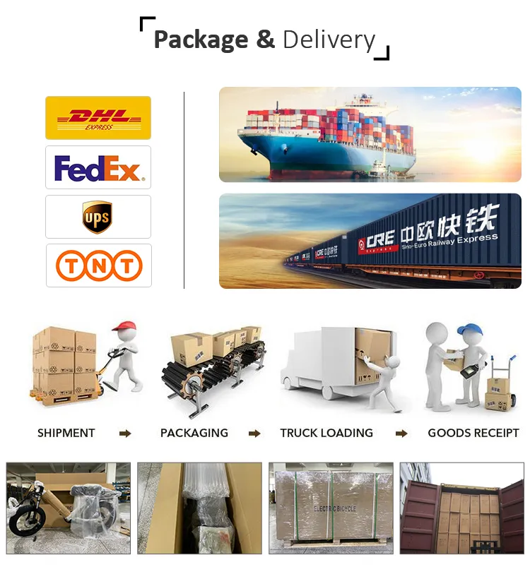 EU Warehouse Adult Fat Tyre Easy Rider 48V 1000W Electric Bike