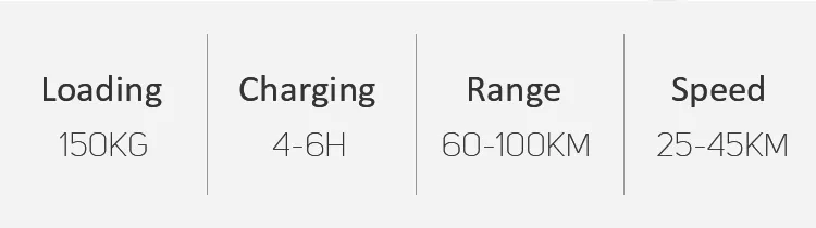 EU Warehouse Adult Fat Tyre Easy Rider 48V 1000W Electric Bike