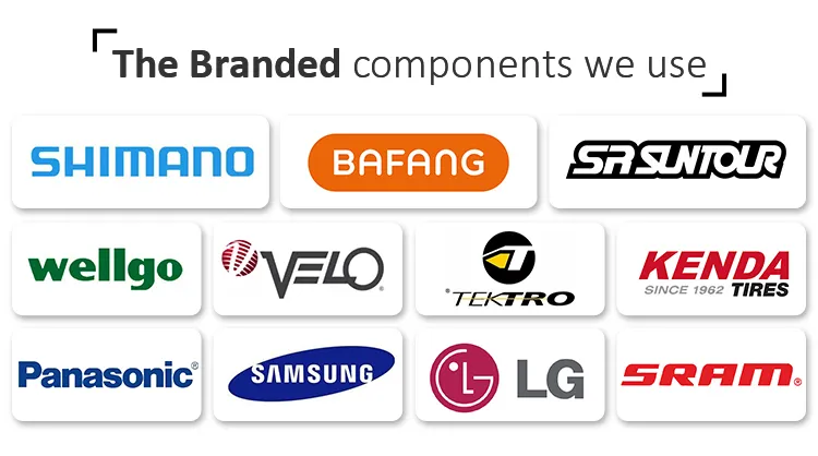 EU Warehouse Adult Fat Tyre Easy Rider 48V 1000W Electric Bike