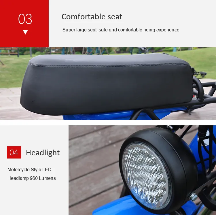 EU Warehouse Adult Fat Tyre Easy Rider 48V 1000W Electric Bike