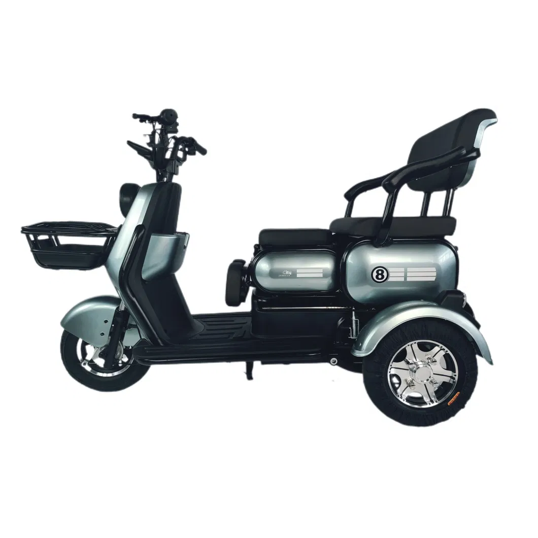 F2-Plus 48V/60V 23A 500W Brand-New Electric Tricycle with Ios Certificate