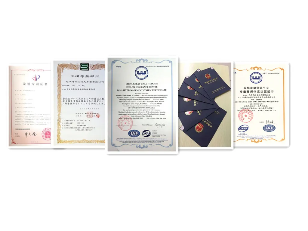 F2-Plus 48V/60V 23A 500W Brand-New Electric Tricycle with Ios Certificate