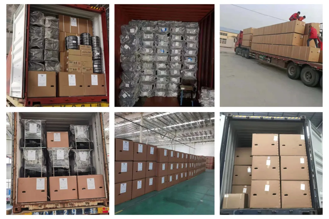 F2-Plus 48V/60V 23A 500W Brand-New Electric Tricycle with Ios Certificate