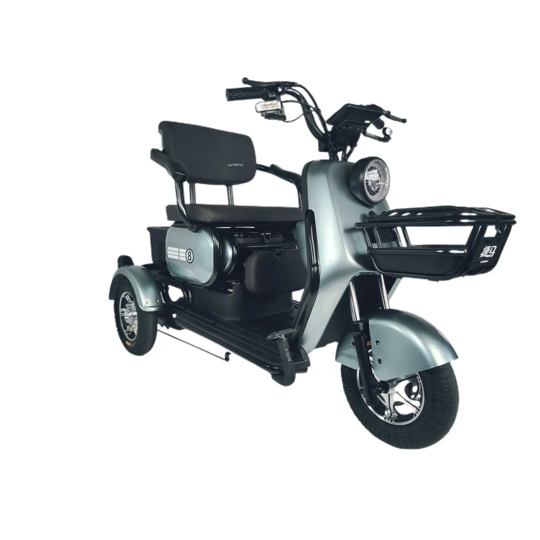 F2-Plus 48V/60V 23A 500W Brand-New Electric Tricycle with Ios Certificate