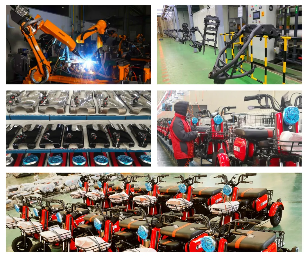 F2-Plus 48V/60V 23A 500W Brand-New Electric Tricycle with Ios Certificate