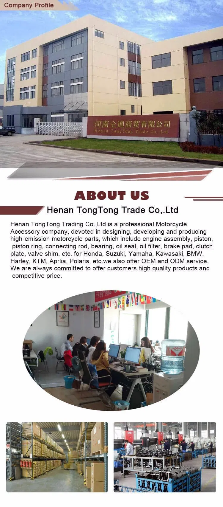 Fa181 Fa363 Fa245 Motorcycle Spare Parts Brake Pad for Ktm