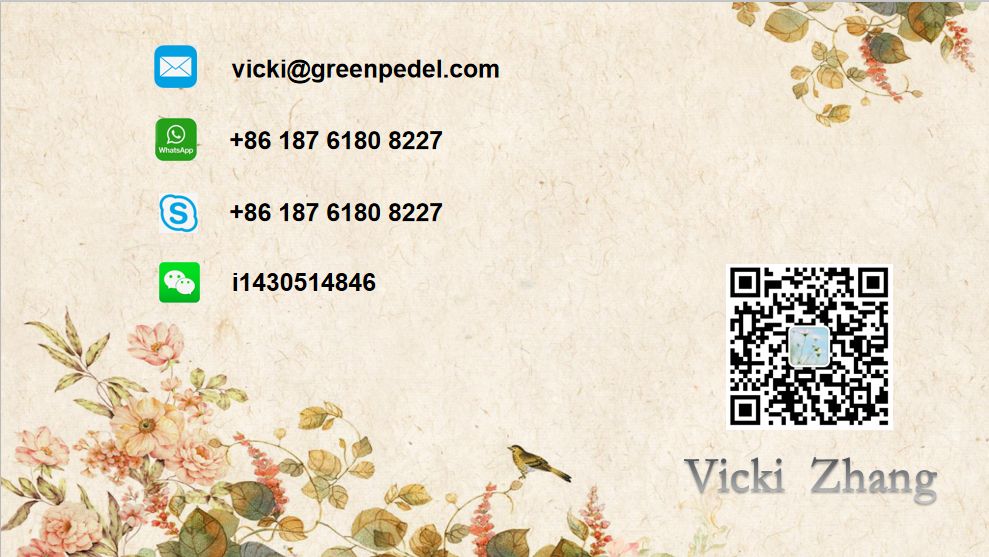 Factory Price 48V 500W Front Wheel Geared Hub Motor Disc Brake Electric Cargo Bicycle