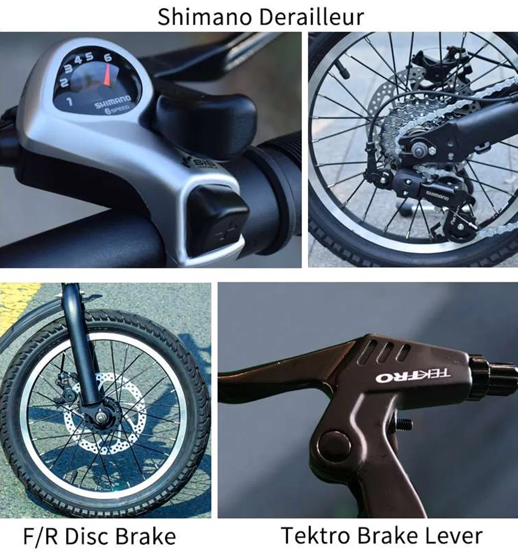 High Quality Adult Small Wheel 20 Inch 6 Speed Folding Bicycle/OEM Bicycle Customized Foldable Bike