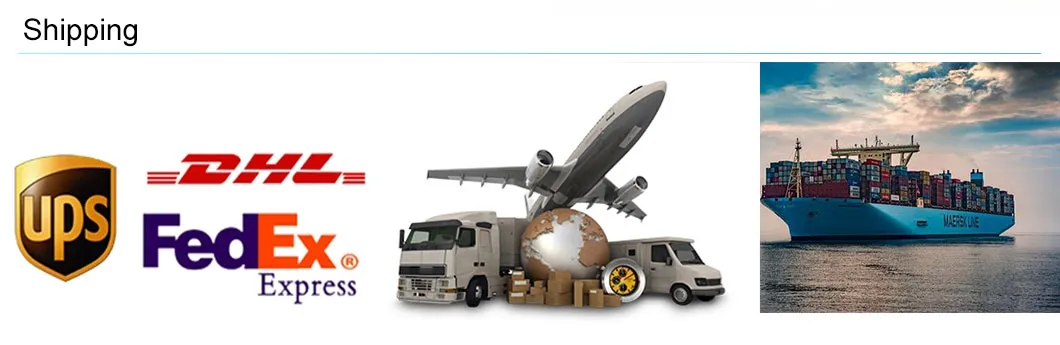 High Quality China Fatory Mopped Motorcycle 1000W