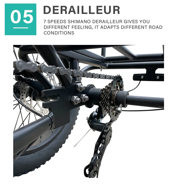 High Quality E-Bike 3 Wheel 48V 500W 750W Electric Fat Tire Tricycle Fat Tyre Electric Trike