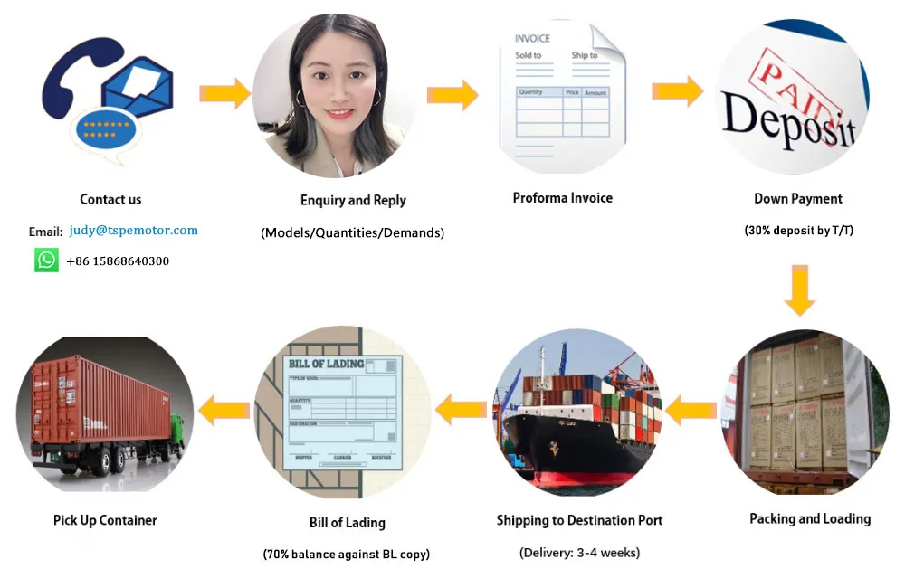 Honda Tornado250 Motorcycle Parts Motorcycle Stator Magneto Coil