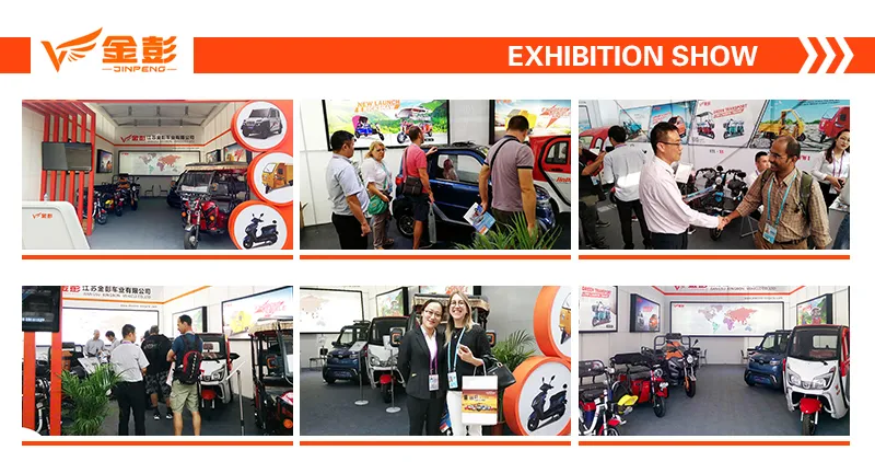 Jinpeng Electric Tricycle for Handicapped with EEC Model