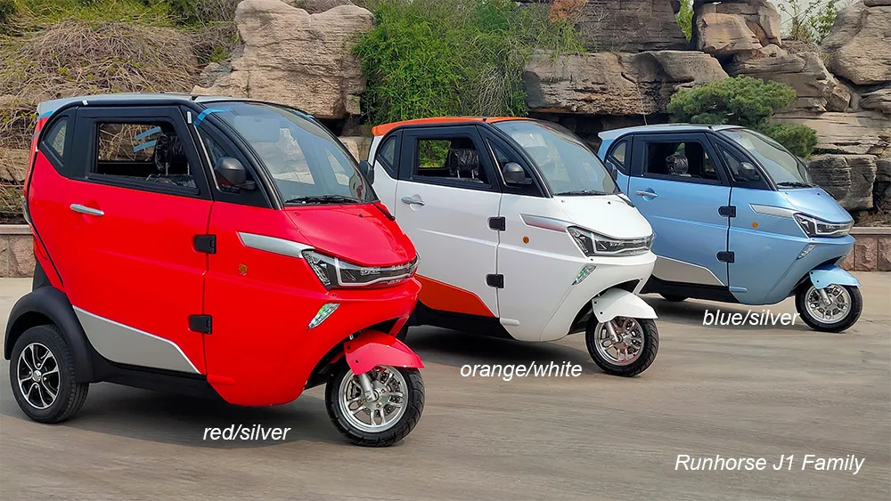 L2e 35km/H Enclosed Passenger Electric Tricycle for France