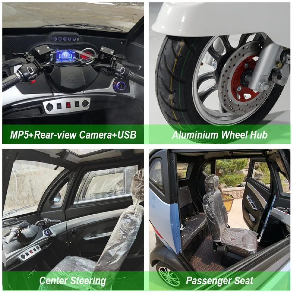 L2e 35km/H Enclosed Passenger Electric Tricycle for France