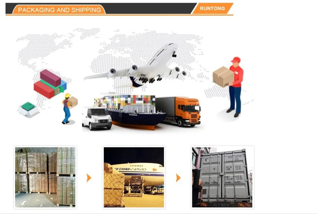 Magneto Stator Coil for YAMAHA Big Bear Tracker 250 Yfm250 Raptor 660