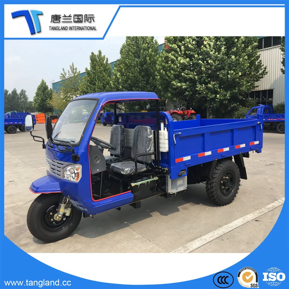 Mini Dump Three Wheel Vehicle/Dumper Tricycle