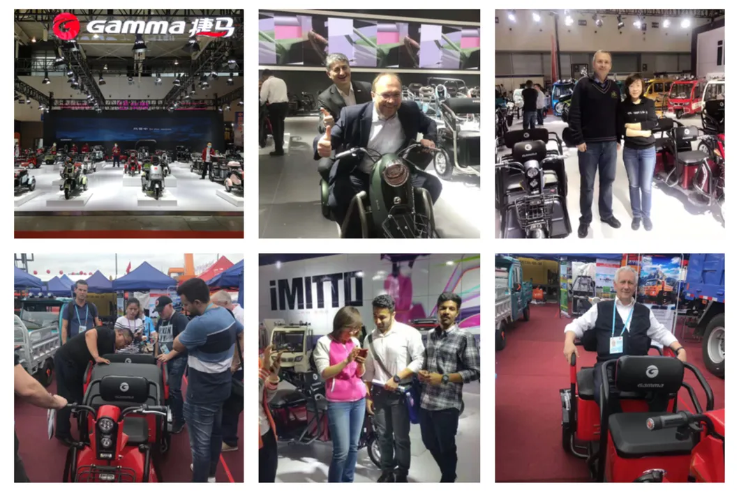 Mk-1 Modern Style 48V/60V 23A 500W Electric Tricycle with Powerful Motor