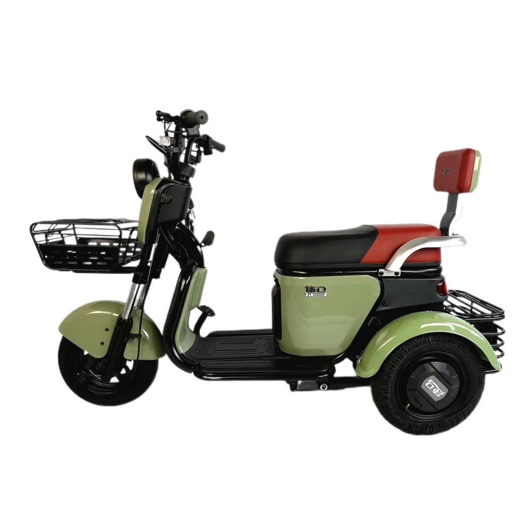 Mk-1 Modern Style 48V/60V 23A 500W Electric Tricycle with Powerful Motor