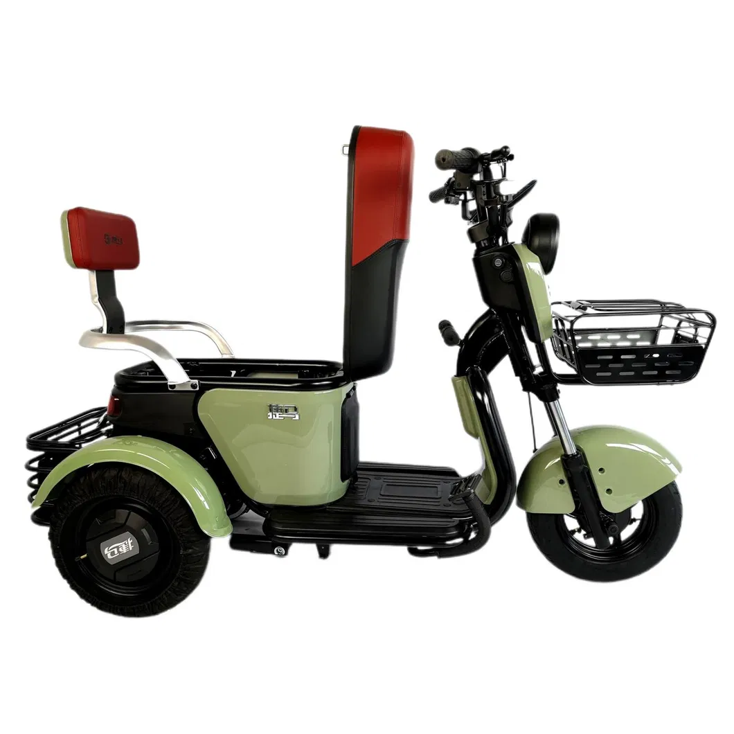 Mk-1 Modern Style 48V/60V 23A 500W Electric Tricycle with Powerful Motor