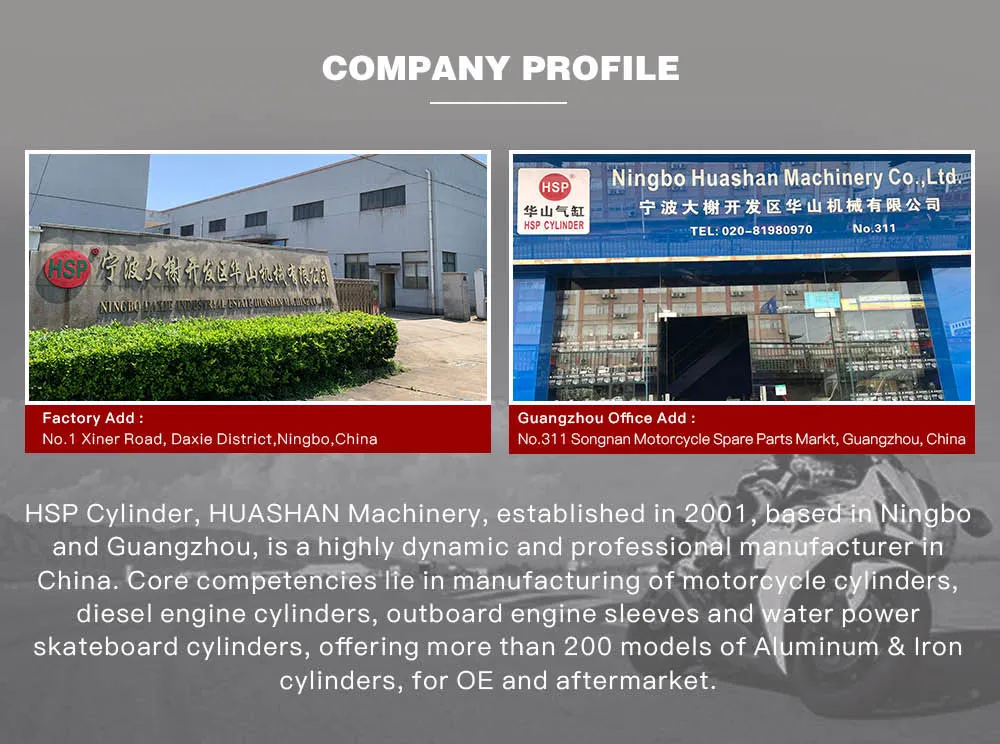 Motorcycle Accessories Motorcycle Cylinder Block Kit for Honda WH100(GCC100) WH110(GGC110)