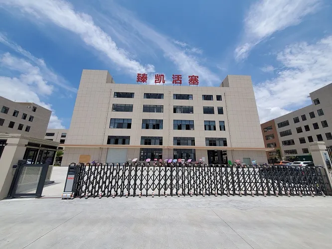 Motorcycle Engine Parts Piston Kit for Bajaj205 Re205 3W4s