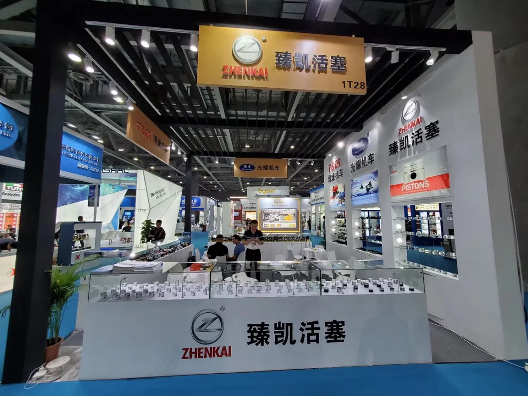 Motorcycle Engine Parts Piston Kit for Bajaj205 Re205 3W4s