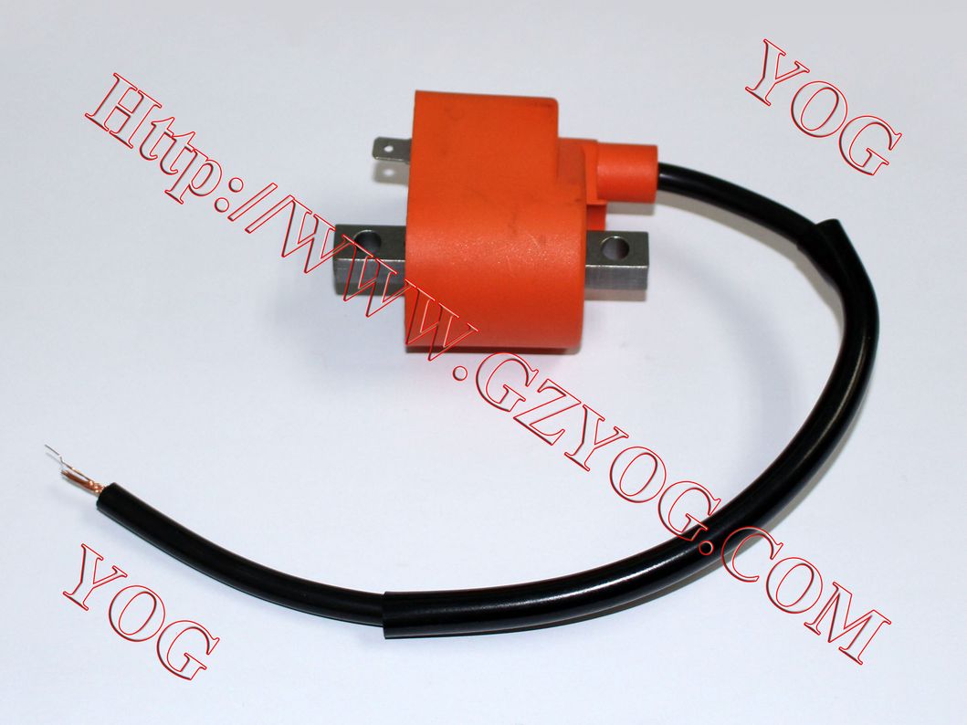 Motorcycle Ignition Coil Bobina Alta GS125 CB125ace Dream