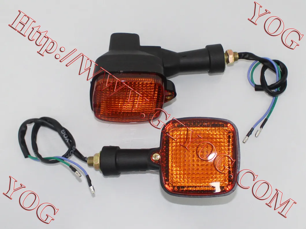 Motorcycle Parts Indicator for Tvs Victor/ Max100